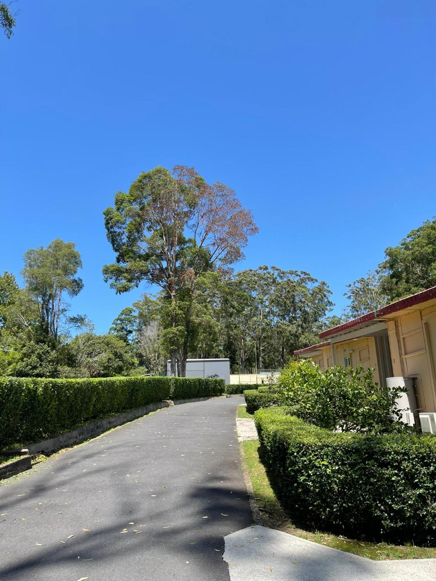 Major Innes Motel Port Macquarie Esterno foto