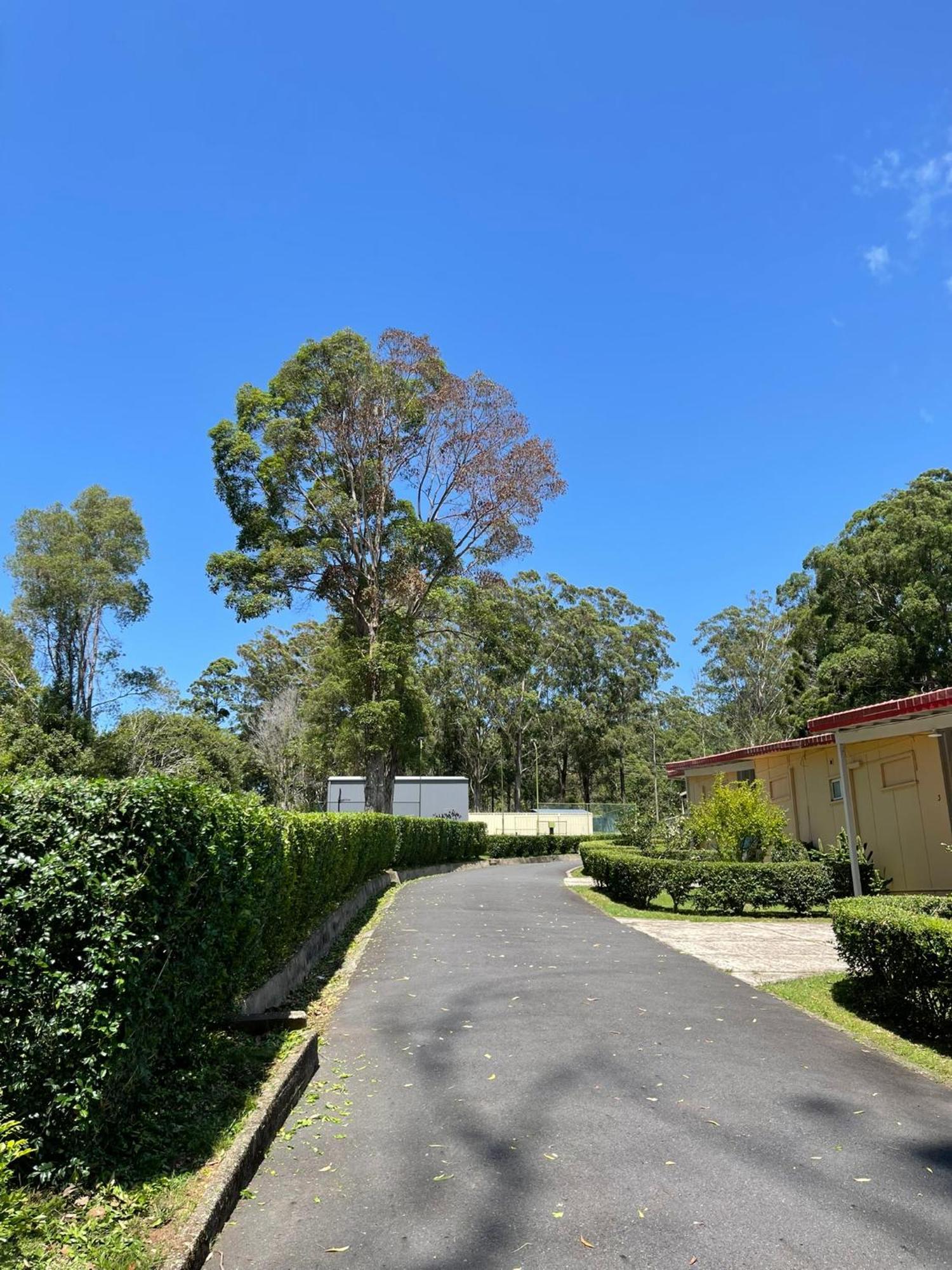 Major Innes Motel Port Macquarie Esterno foto