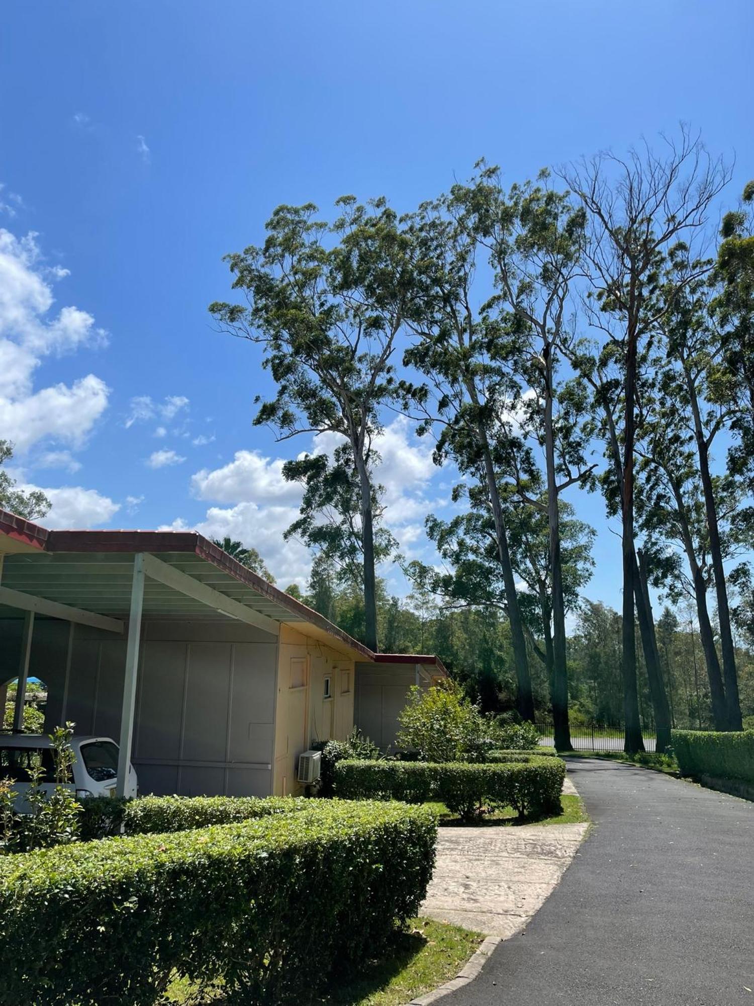 Major Innes Motel Port Macquarie Esterno foto